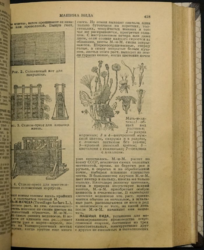 Словарь-справочник по пчеловодству: 1100 статей с иллюстрациями