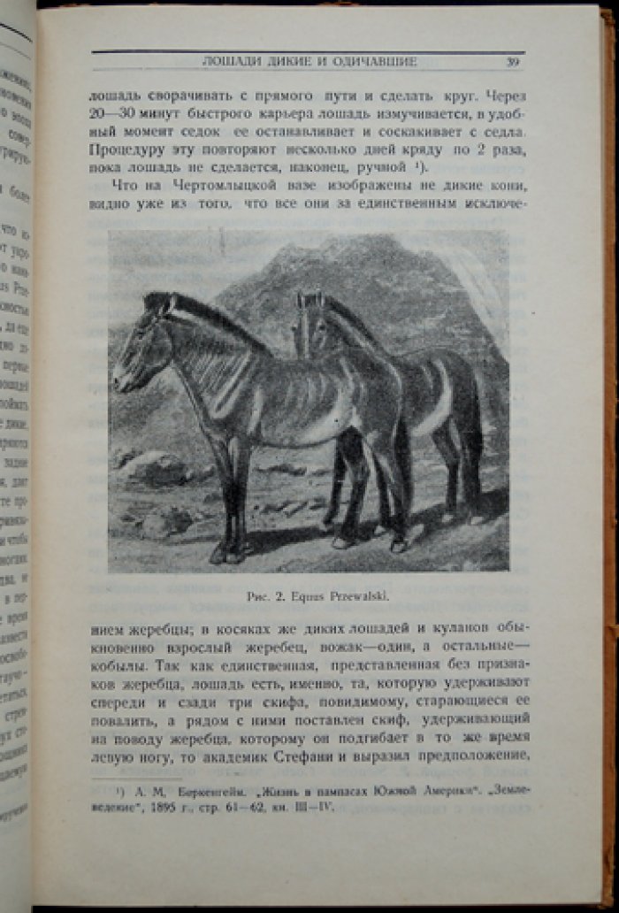 Конские породы. Очерк отечественного коневодства, происхождение и характеристики 48 пород (3-е издание)