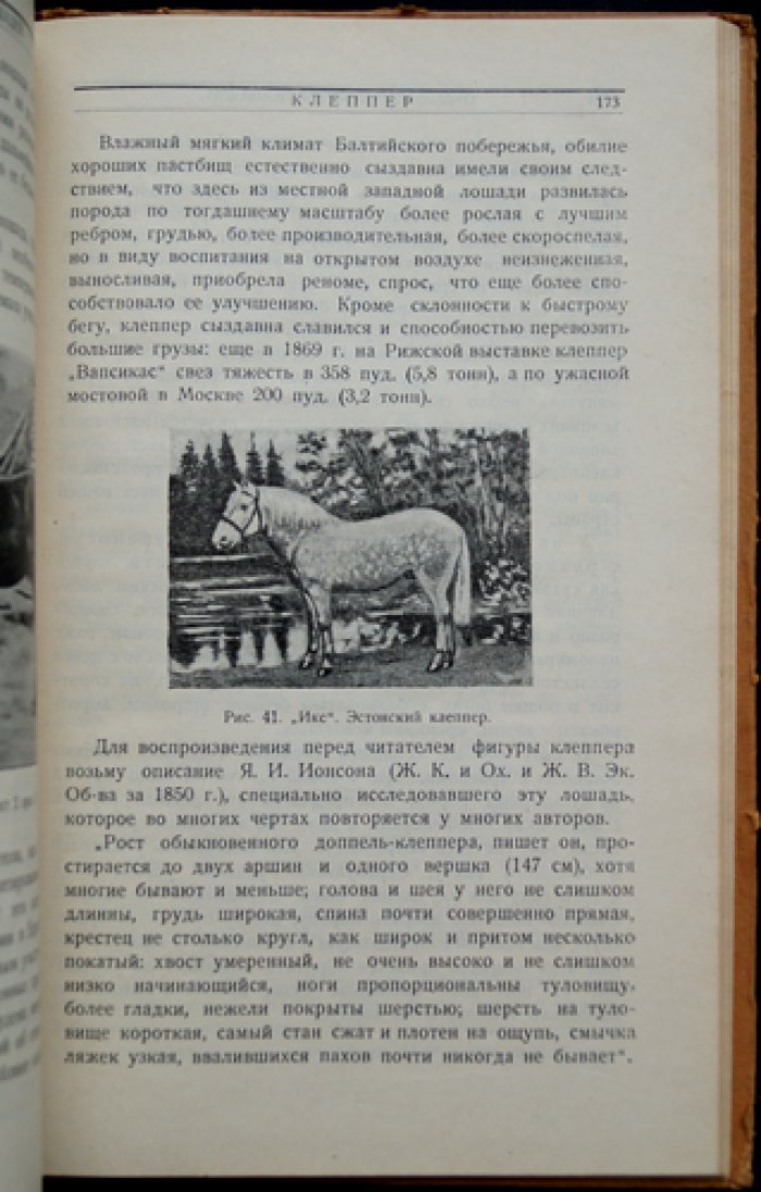 Конские породы. Очерк отечественного коневодства, происхождение и характеристики 48 пород (3-е издание)