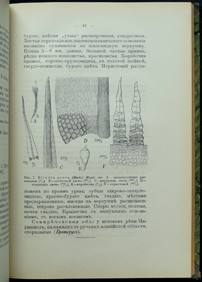 Флора Азиатской России. Выпуск 4. Мхи (Andreaeles, Bryales, часть I) и Выпуск 13. Мхи (Gramineae). Часть II (в одном комбинированном переплёте)