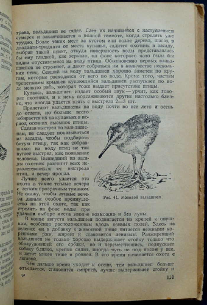 Охота на пернатую дичь (с главой «Охота на белую куропатку»)