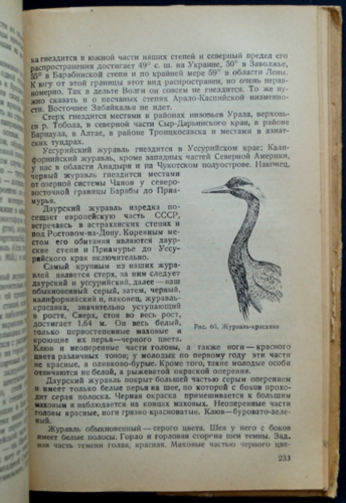Охота на пернатую дичь (с главой «Охота на белую куропатку»)