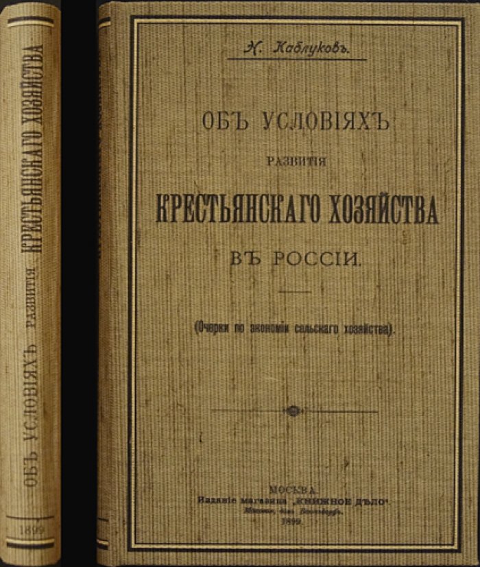 Очерки об условиях развития крестьянского хозяйства в России: экономия сельского хозяйства, земля, труд и кредит
