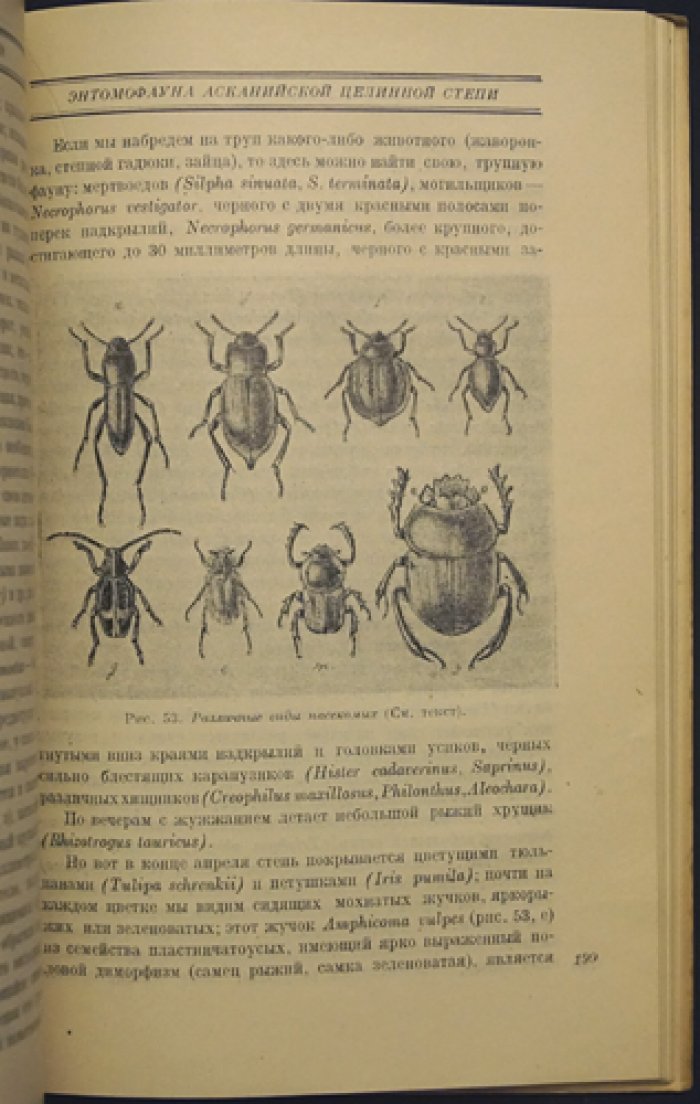 Степной заповедник «Аскания-Нова»: сборник статей (под ред. М. Н. Колодько и Б. К. Фортунатова)