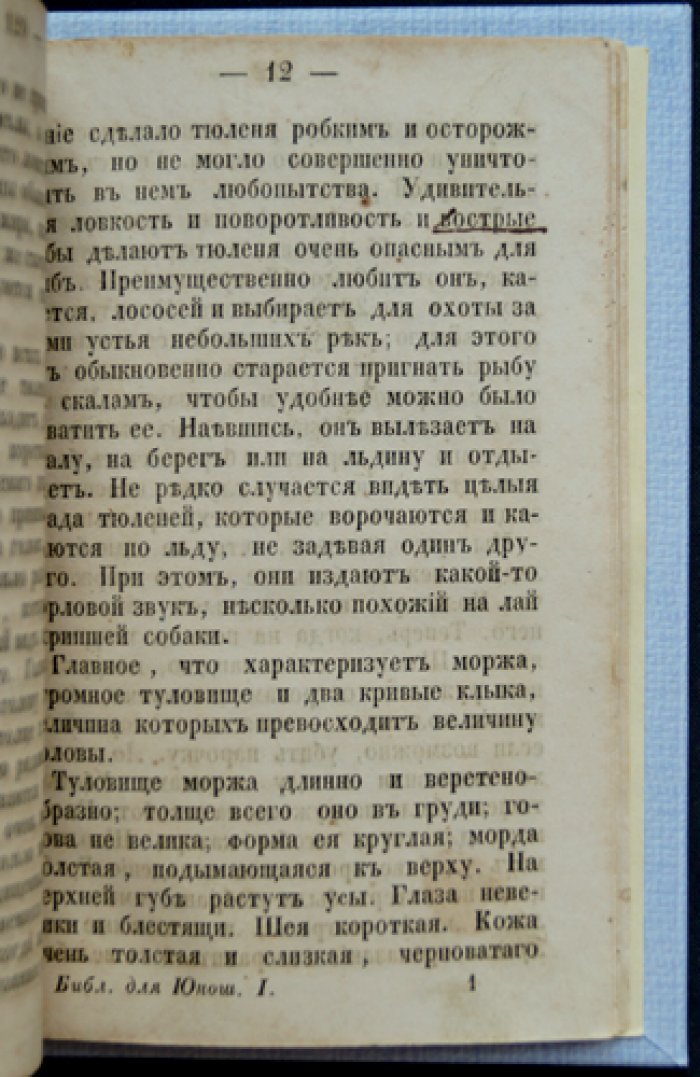 Ледовитое море, или Поездка на китовую ловлю — путешествие в арктические воды