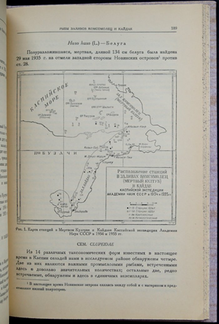 Заливы Каспийского моря «Комсомолец» (Мёртвый Култук) и «Кайдак»: результаты экспедиций 1934 года. Труды по комплексному изучению Каспийского моря, выпуск I, часть 1
