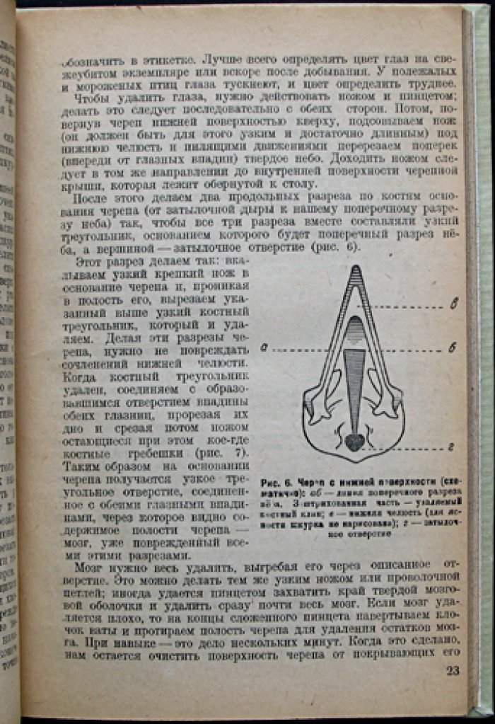 Набивка шкурок и чучел птиц и зверей: практическое руководство для любителей и коллекционеров