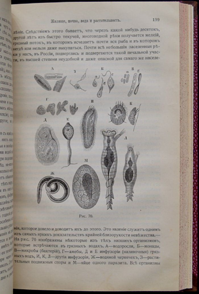 Гигиена (с включением анатомии, физиологии и патологии человека). Дополненное издание