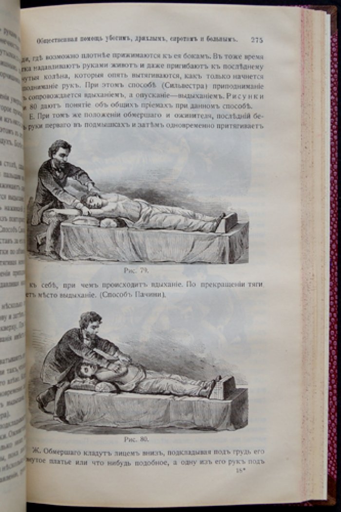 Гигиена (с включением анатомии, физиологии и патологии человека). Дополненное издание