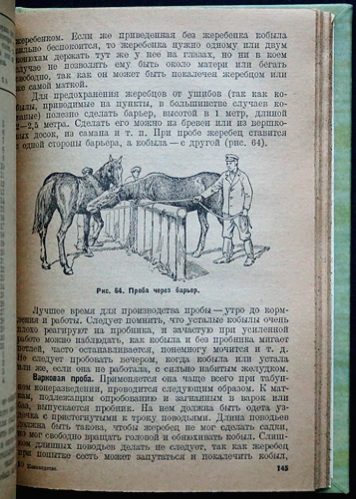 Коневодство. Учебное руководство по разведению лошадей (3-е издание)