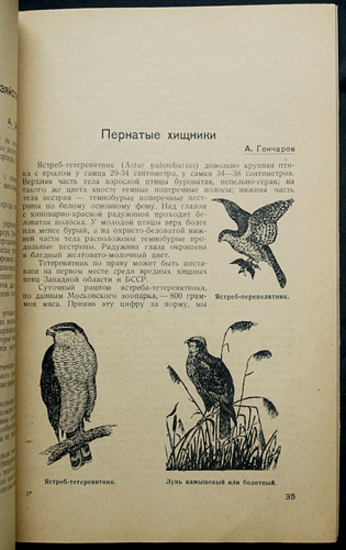 «Боец-охотник» — комплект из 10 номеров за 1937 год (Всеармейское военно-охотничье общество)