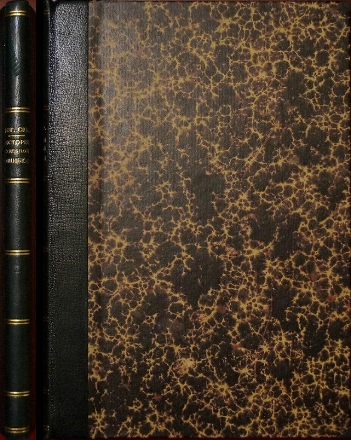 Жертва судебной ошибки. Роман в 6 частях (издание 1899 года)