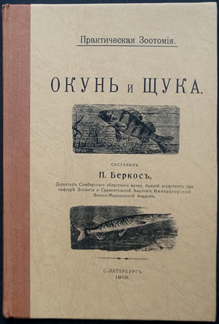 Окунь и щука: анатомия и строение (с атласом рисунков)