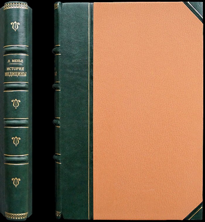 История медицины. Очерк становления и развития медицинской науки (от древности до XIX века) с приложением истории русской медицины