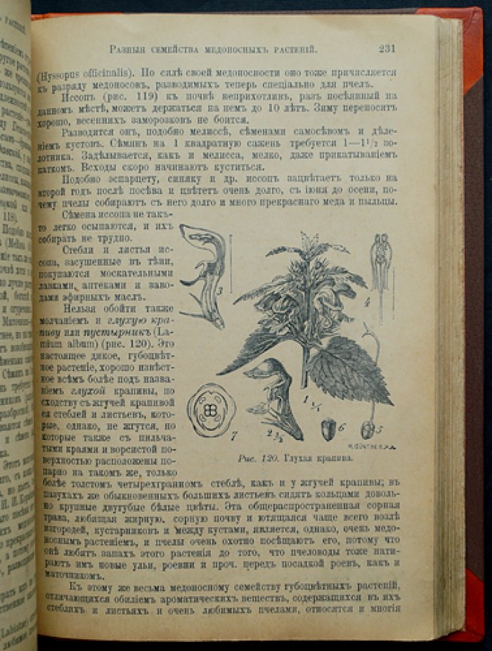 Пчела и пчеловодство: полный курс для начинающих (издание третье)