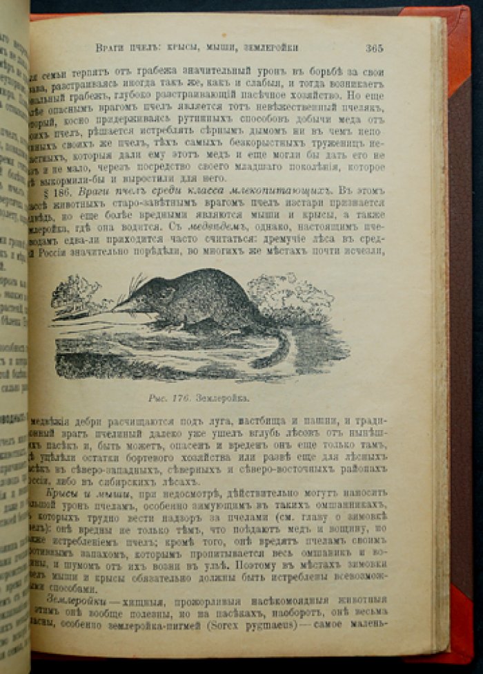 Пчела и пчеловодство: полный курс для начинающих (издание третье)