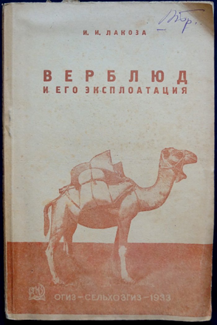 Верблюд и его эксплуатация (практическое руководство по содержанию и использованию) — Лакоза И.И.