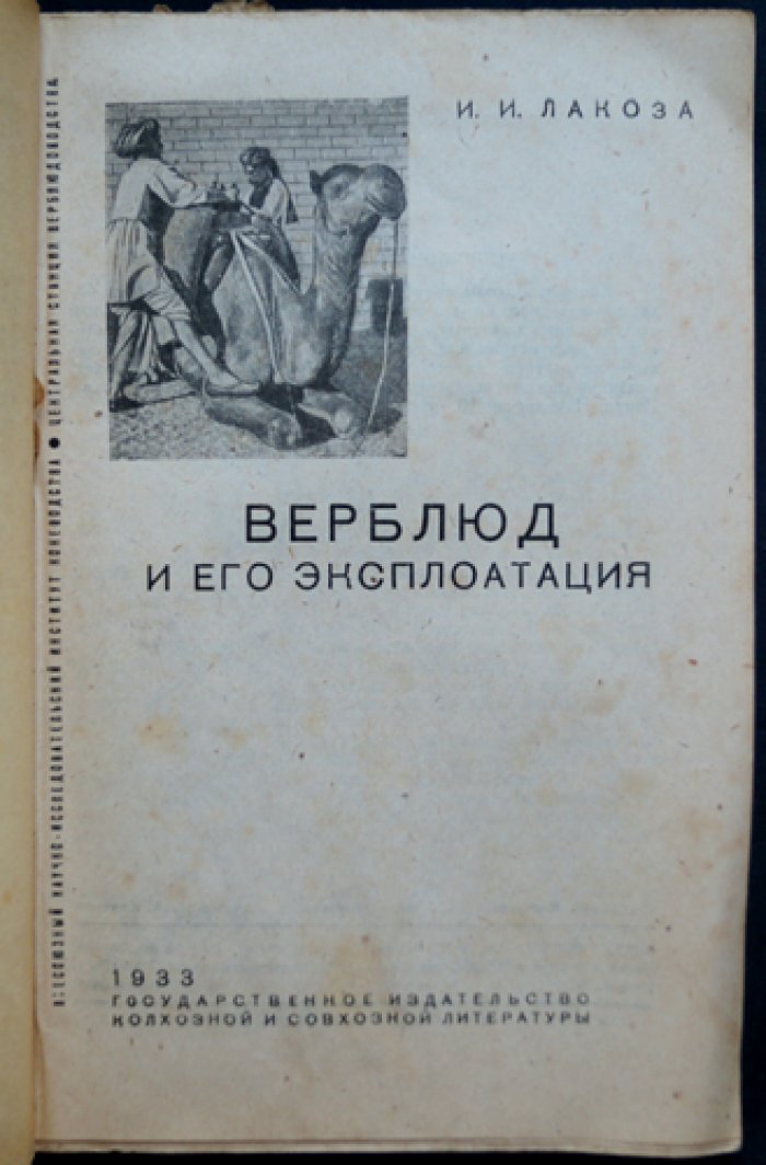 Верблюд и его эксплуатация (практическое руководство по содержанию и использованию) — Лакоза И.И.