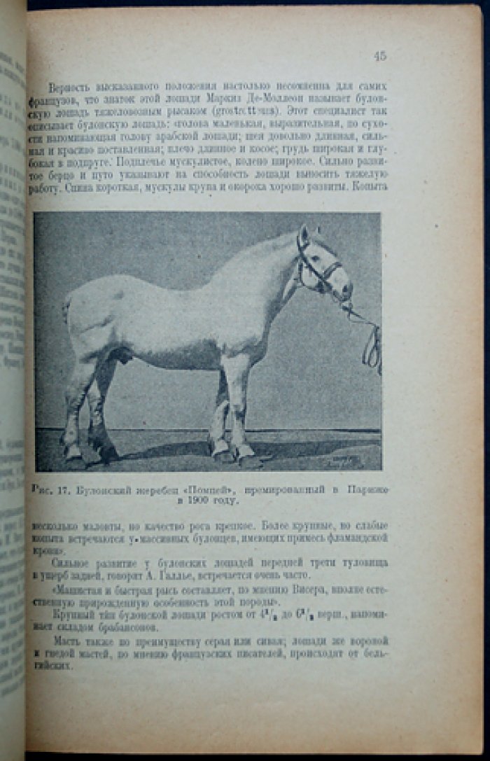 Кулешов. Рабочая лошадь: происхождение, разведение и содержание рабочих коней (2-е издание)