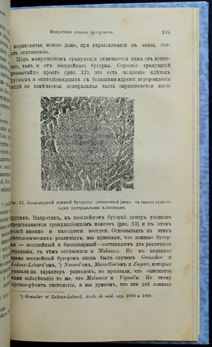 Заразные болезни, свойственные людям и животным