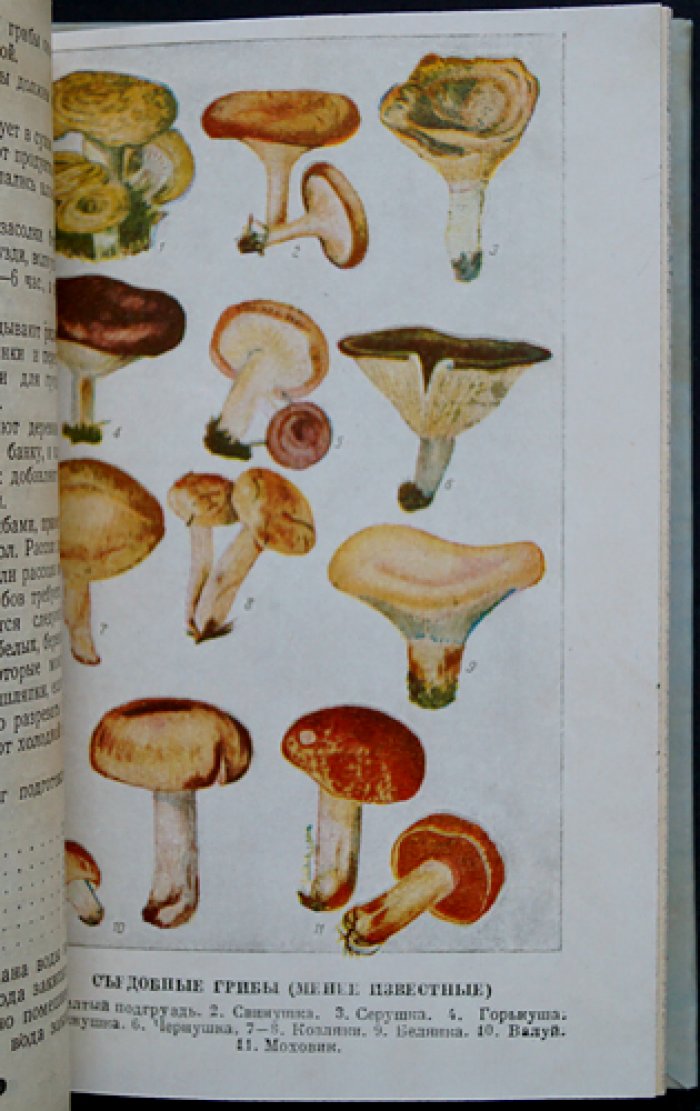 Книга о вкусной и здоровой пище. Рациональное питание и практическая кулинария (завтраки, обеды, ужины)