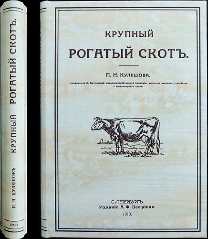 Крупный рогатый скот: учебник по скотоводству (5-е издание, дополненное)