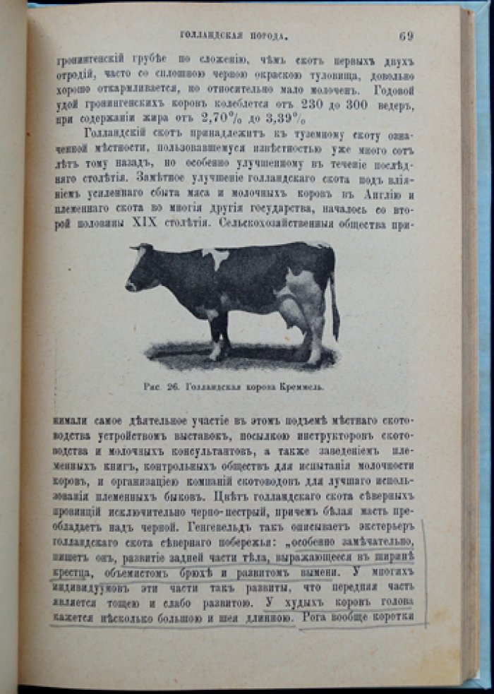 Крупный рогатый скот: учебник по скотоводству (5-е издание, дополненное)