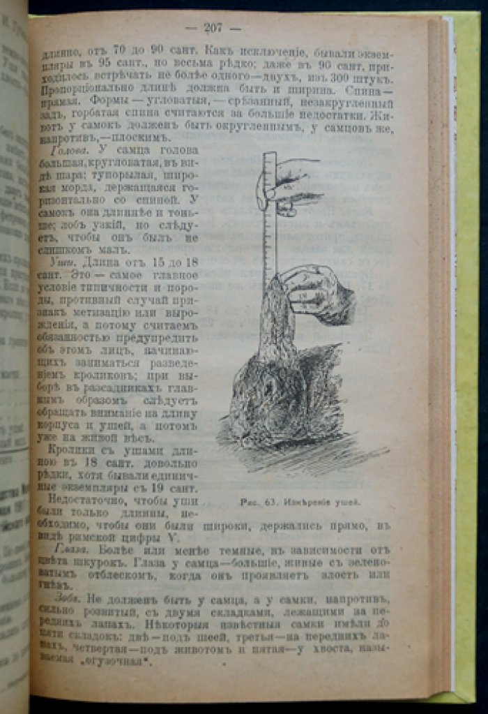 Кролики: разведение, уход, откорм и породы (в 2 частях). Издание 4-е, значительно дополненное