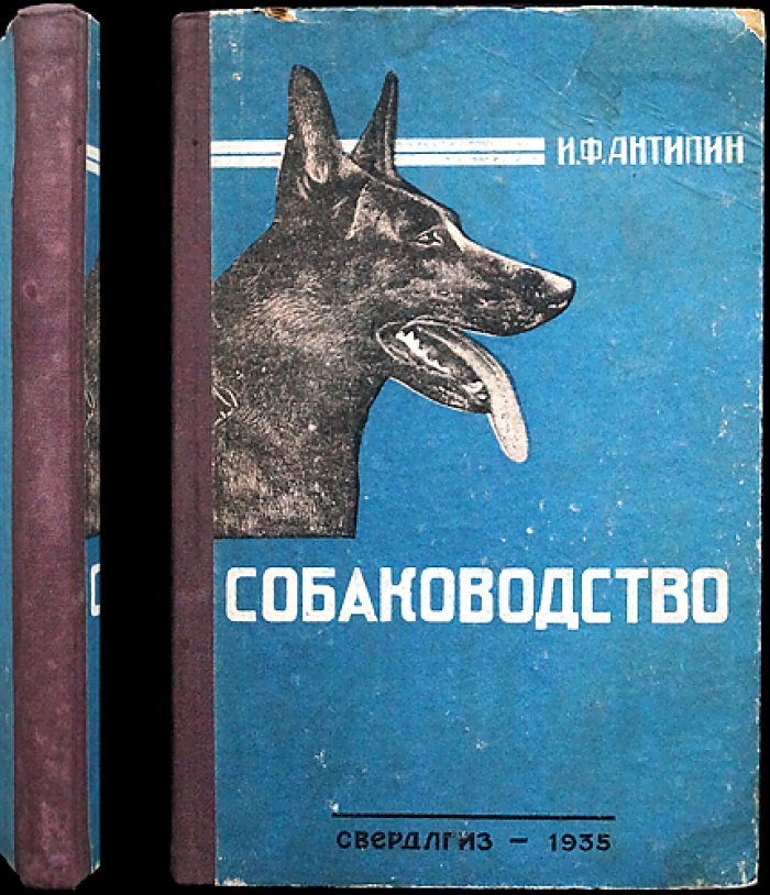 Собаководство: зоотехнические основы ухода, содержания, разведения и изучения собак