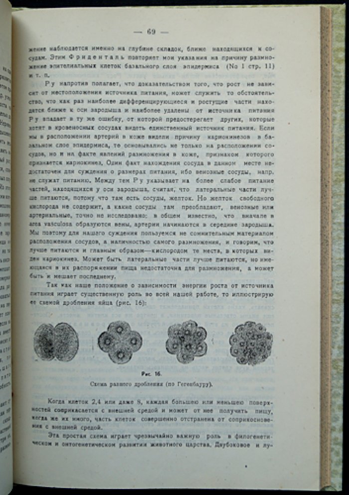 М.С. Мильман. Учение о росте, старости и смерти: биологическая теория развития и старения