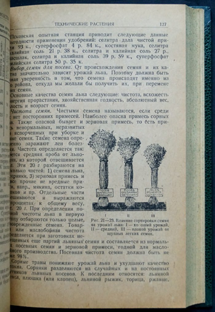Справочник по семеноводству: практическое руководство для семеноводческих товариществ и работников колхозов