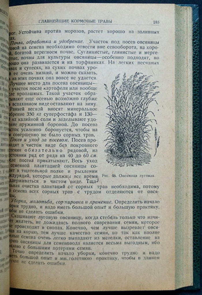 Справочник по семеноводству: практическое руководство для семеноводческих товариществ и работников колхозов