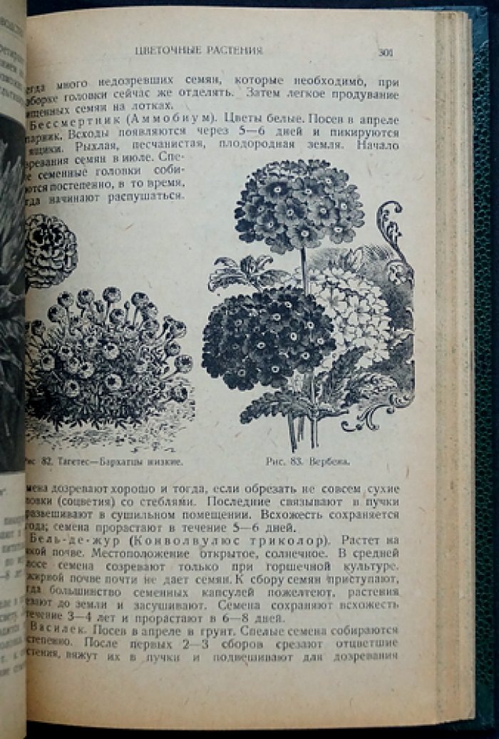 Справочник по семеноводству: практическое руководство для семеноводческих товариществ и работников колхозов