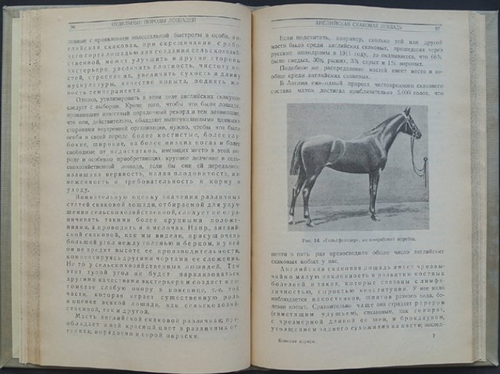 Конские породы: классификация, происхождение и описание 48 пород (3-е издание, 1928)