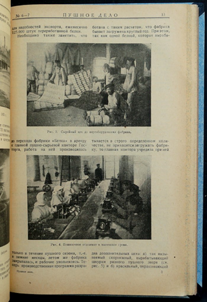 Пушное дело. Ежемесячный журнал (№ 1–7, 1925) — охотничье хозяйство, заготовка пушнины