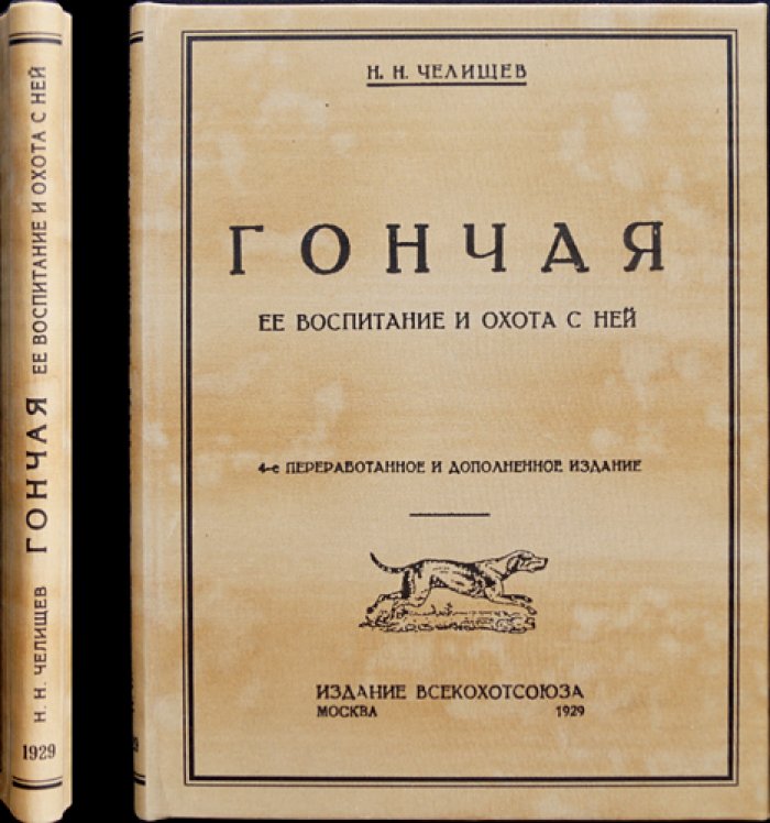 Гончая: воспитание и охота с ней (псовая охота, практические советы)