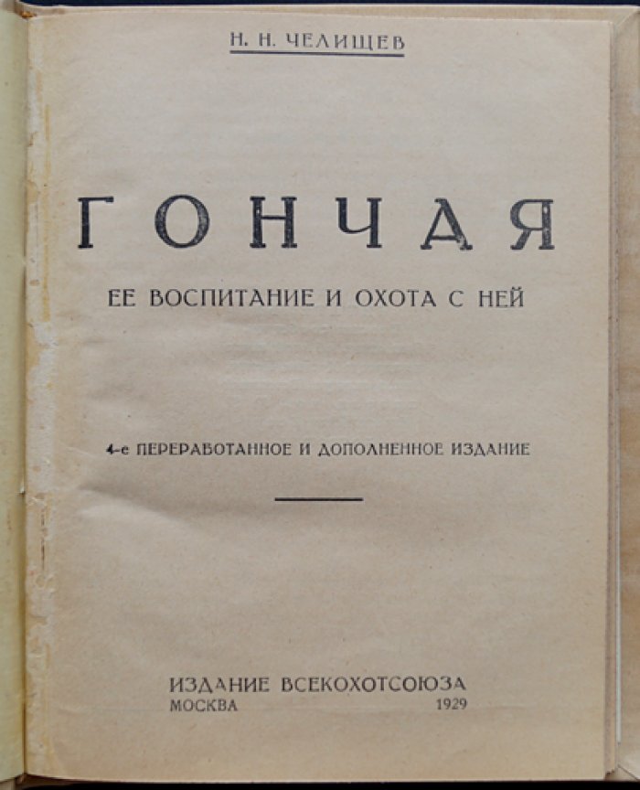 Гончая: воспитание и охота с ней (псовая охота, практические советы)
