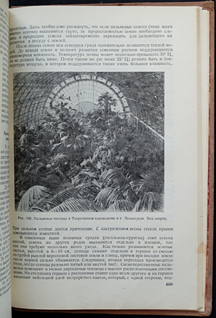 Цветоводство. Подготовка плантаций, выращивание рассады и культур в открытом и защищённом грунте