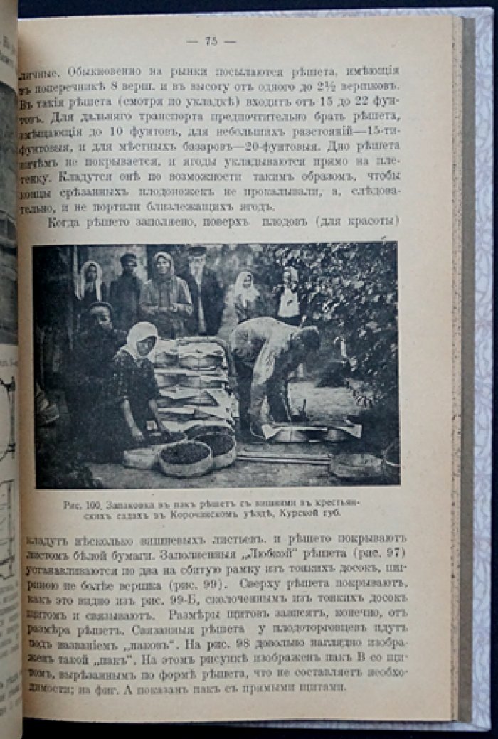 Вишня и её промышленная культура: разведение, классификация, уход и защита (1-е издание 1915 г.)
