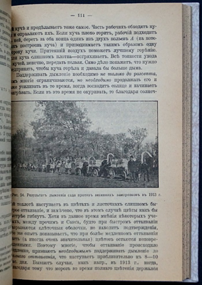 Вишня и её промышленная культура: разведение, классификация, уход и защита (1-е издание 1915 г.)