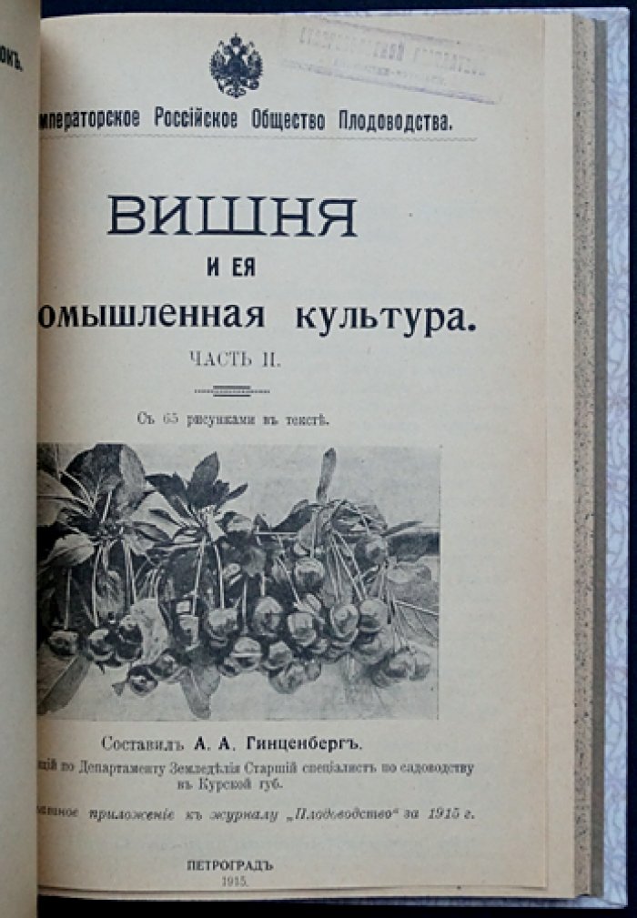 Вишня и её промышленная культура: разведение, классификация, уход и защита (1-е издание 1915 г.)