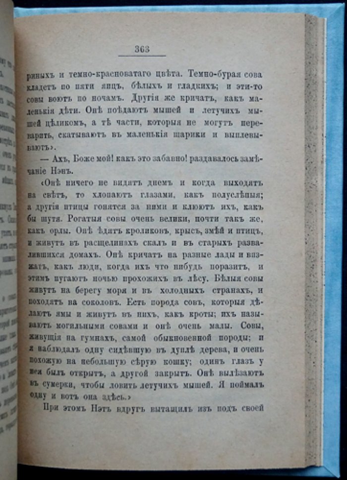 Луиза М. Олкот. Маленькие мужчины: повесть о жизни семьи Блэнов и Бангов (издание 1895 г.)