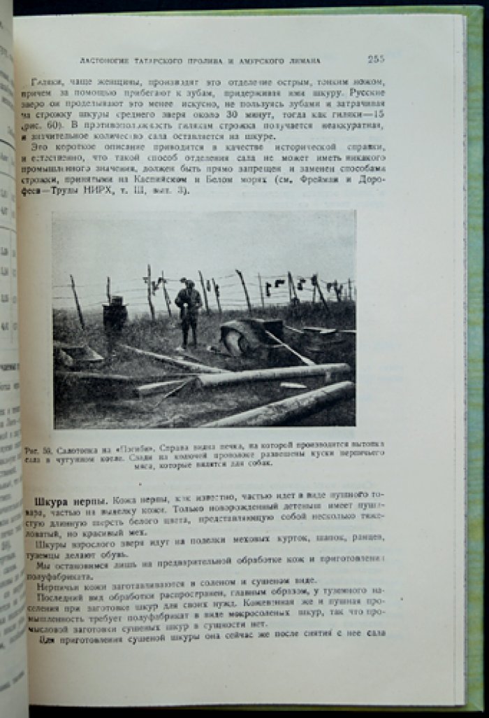 Морские млекопитающие Дальнего Востока: сырьевая база и промышленное использование (сборник трудов экспедиции, 1929–1930)