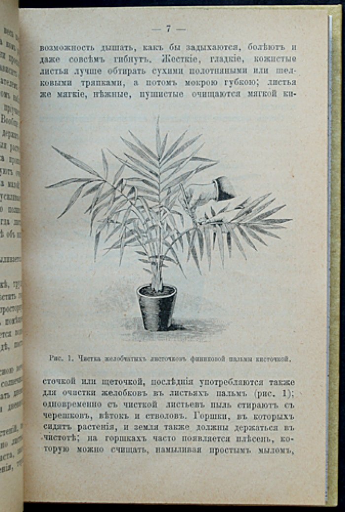 Краткое руководство по уходу за комнатными растениями и устройству цветников (для дома, дачи и палисадника)