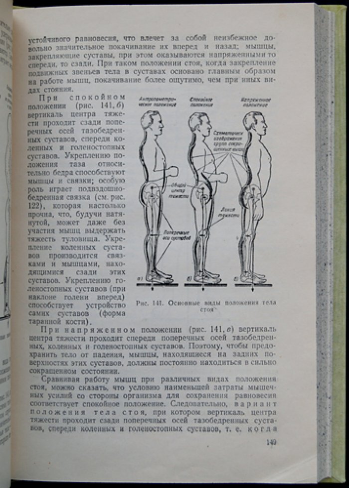 Спортивная стрельба из винтовки: техника и тактика малокалиберной и боевой стрельбы (иллюстрированное практическое руководство)