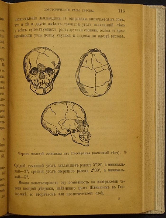 Происхождение арийцев: доисторический человек и цивилизация Европы