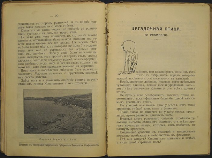 «Чеглок. Мои приключения в Сахаре и Северной Африке»: рассказы о жизни птиц и пресмыкающихся