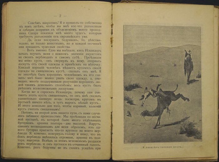 «Чеглок. Мои приключения в Сахаре и Северной Африке»: рассказы о жизни птиц и пресмыкающихся