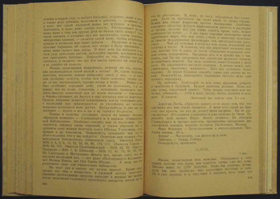 Письма Егора Созонова к родным. 1895–1910: документы и свидетельства эпохи
