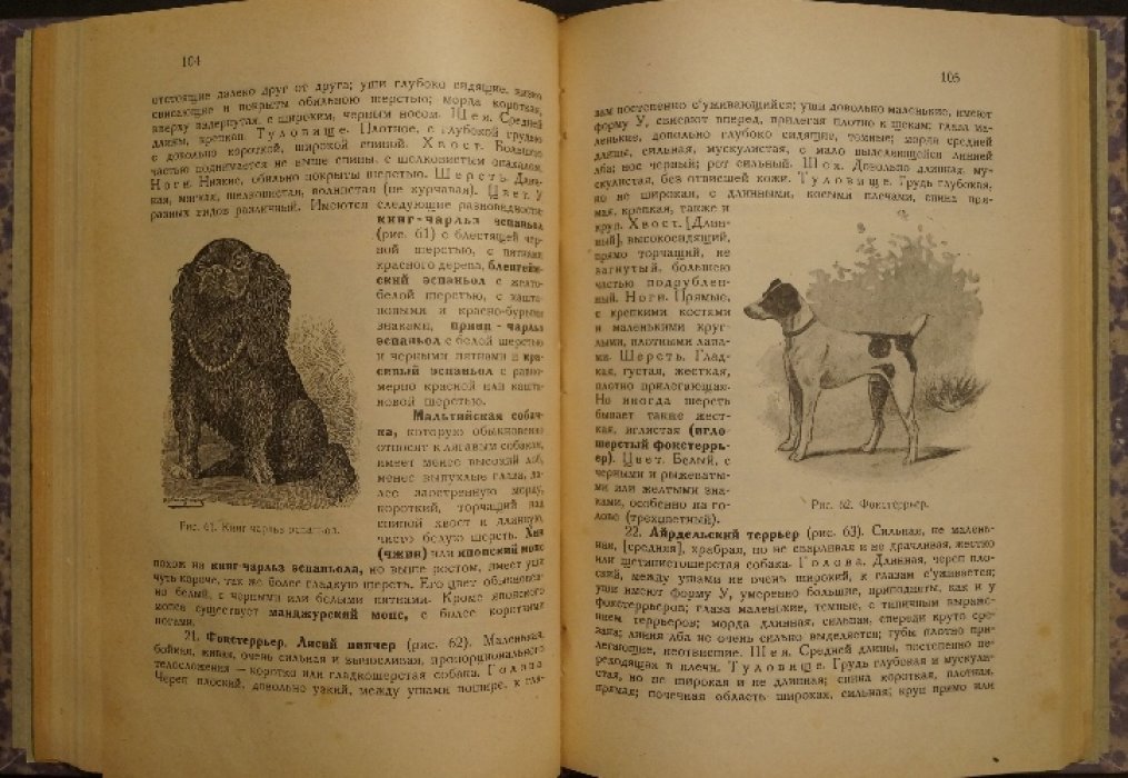 Георг Мюллер. «Болезни собак» и «Здоровая собака»: кинологические труды в 2 книгах